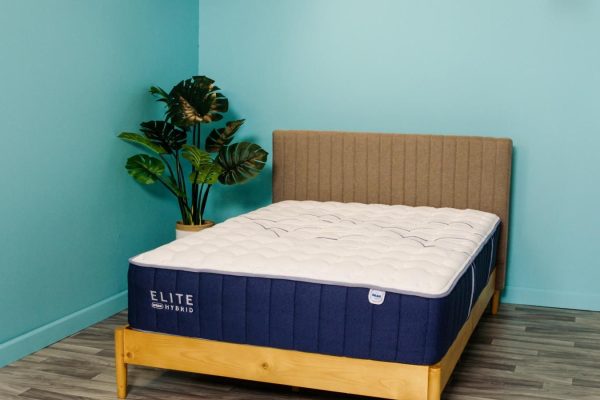 which mattresses does consumer reports recommend