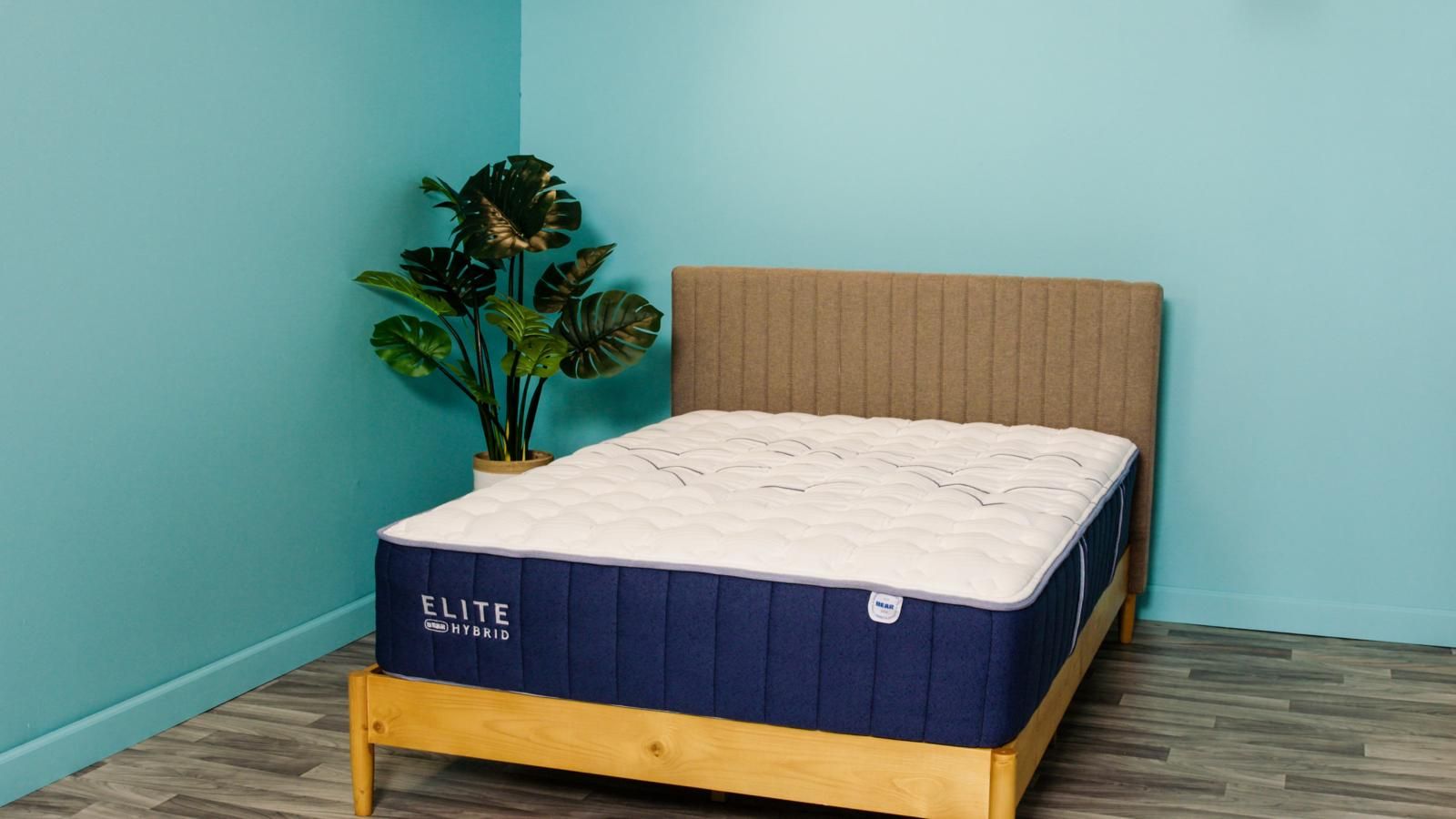 which mattresses does consumer reports recommend